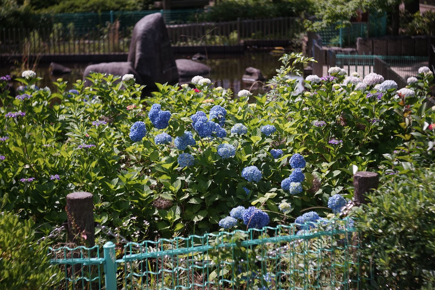 b0069128_932518.jpg