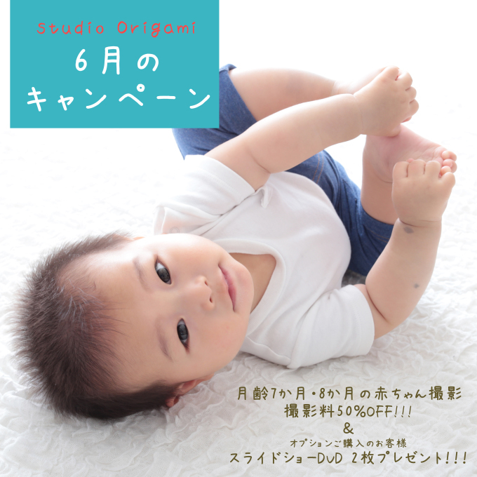 6月のキャンペーン Studio Origami