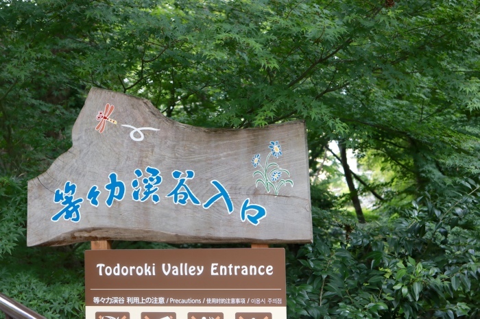 【等々力渓谷】_f0348831_17454189.jpg