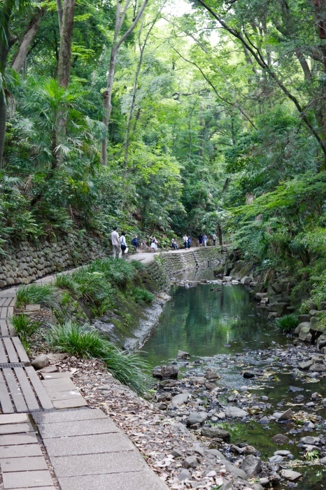 【等々力渓谷】_f0348831_17455040.jpg