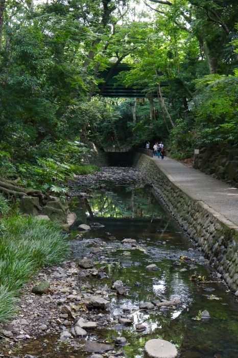 【等々力渓谷】_f0348831_17460037.jpg