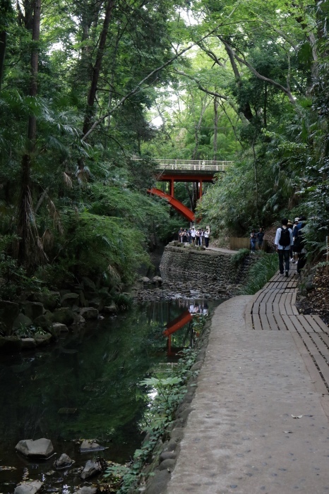【等々力渓谷】_f0348831_17464023.jpg