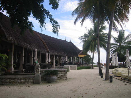 d0217833_1033058.jpg