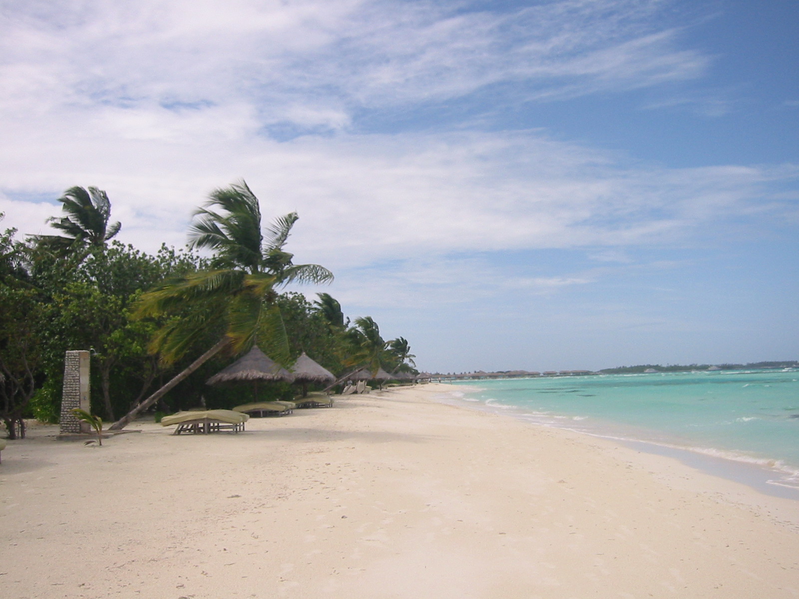 d0217833_1034472.jpg