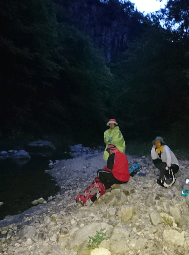 e0371039_12463243.gif