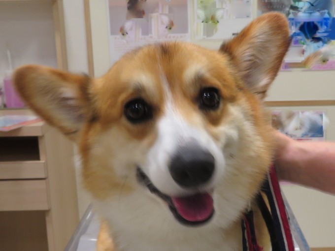 6月15日の写真_c0174644_12573314.jpg