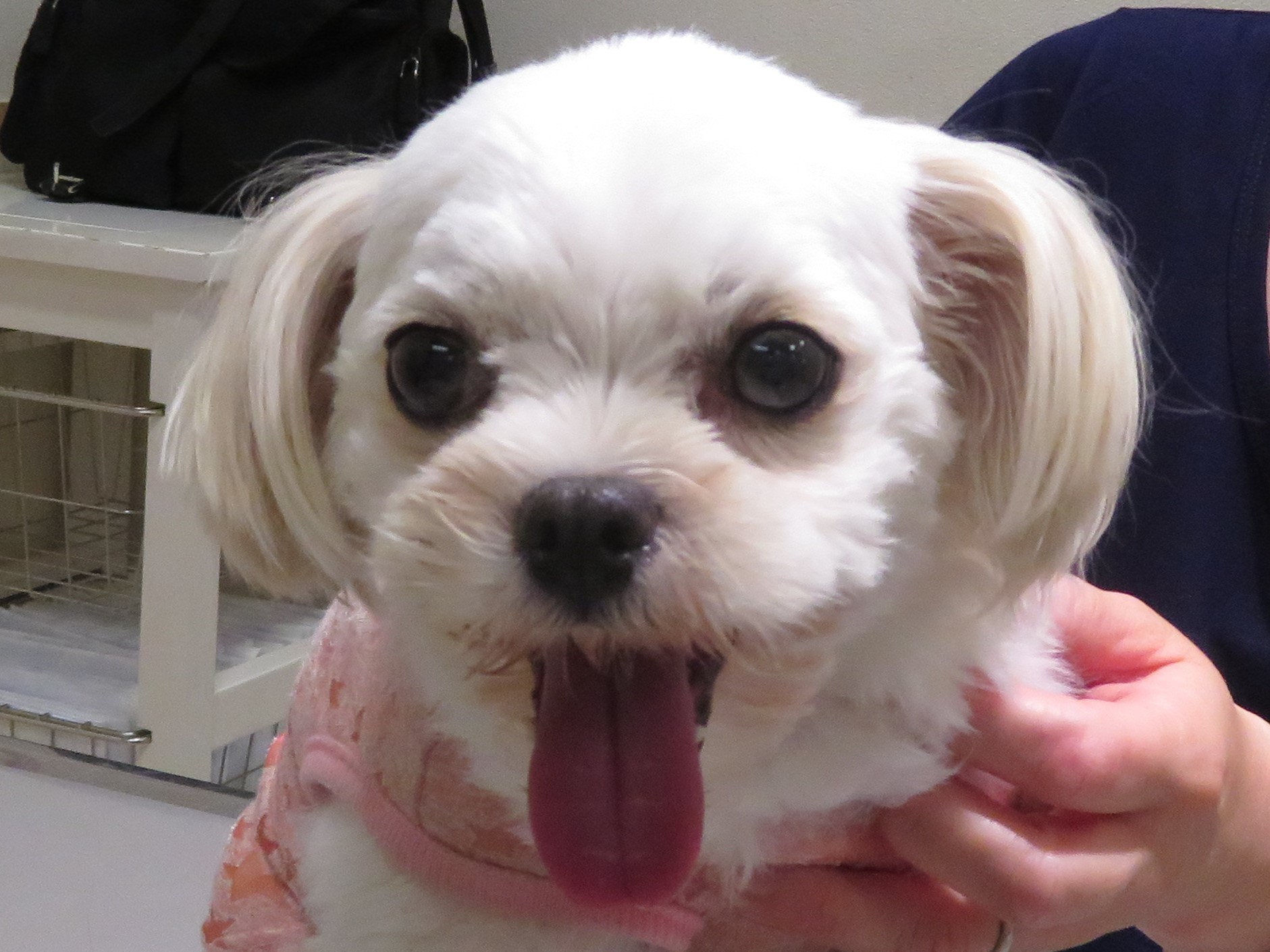 6月15日の写真_c0174644_20160239.jpg