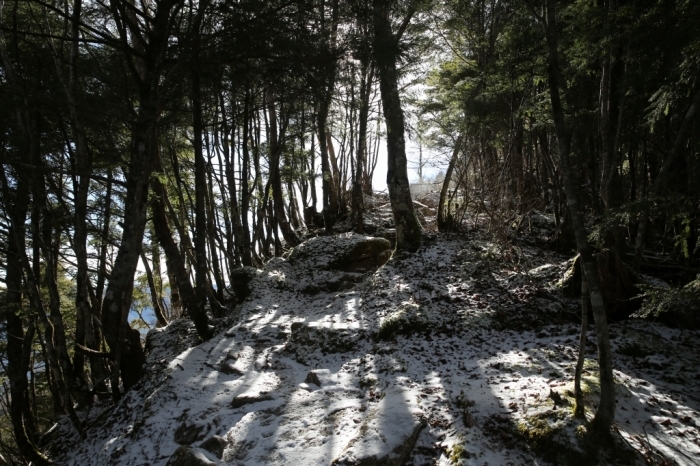 年末恒例パーティー山行①＠鳳凰山　2016.12.29(木)～30(金)_f0344554_19490619.jpg