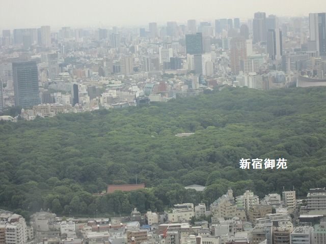 東京都庁展望台へ　2017.6.11_c0038755_20371166.jpg