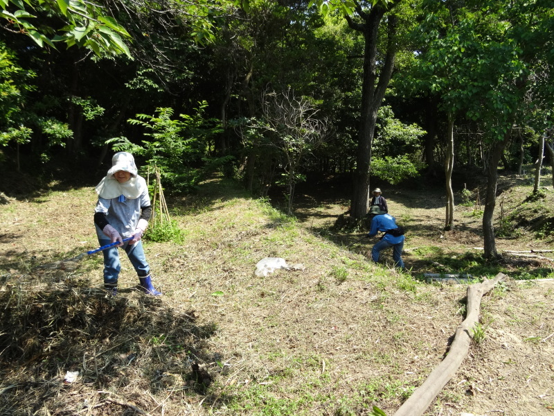 草刈り＆作業小屋の床張り&ハクセンシオマネキ・・・せんなん里海公園内うみべの森_c0108460_19560995.jpg