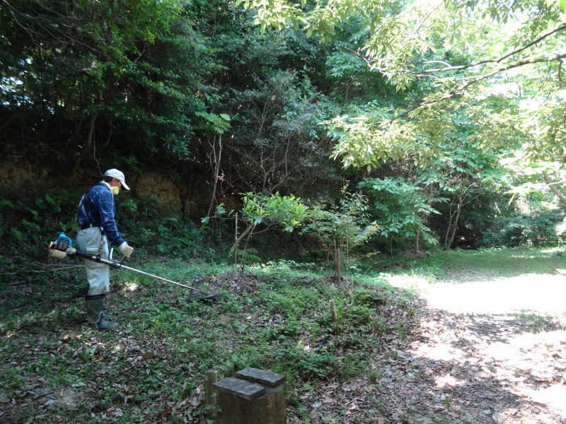 草刈り・作業小屋床張り&ハクセンシオマネキ・・・せんなん里海公園内うみべの森_c0108460_19565140.jpg