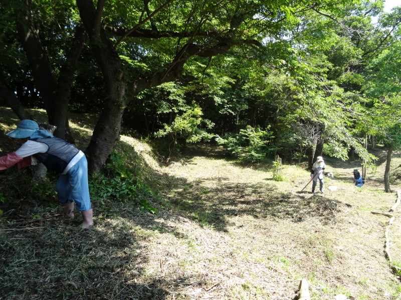 草刈り＆作業小屋の床張り&ハクセンシオマネキ・・・せんなん里海公園内うみべの森_c0108460_19571744.jpg