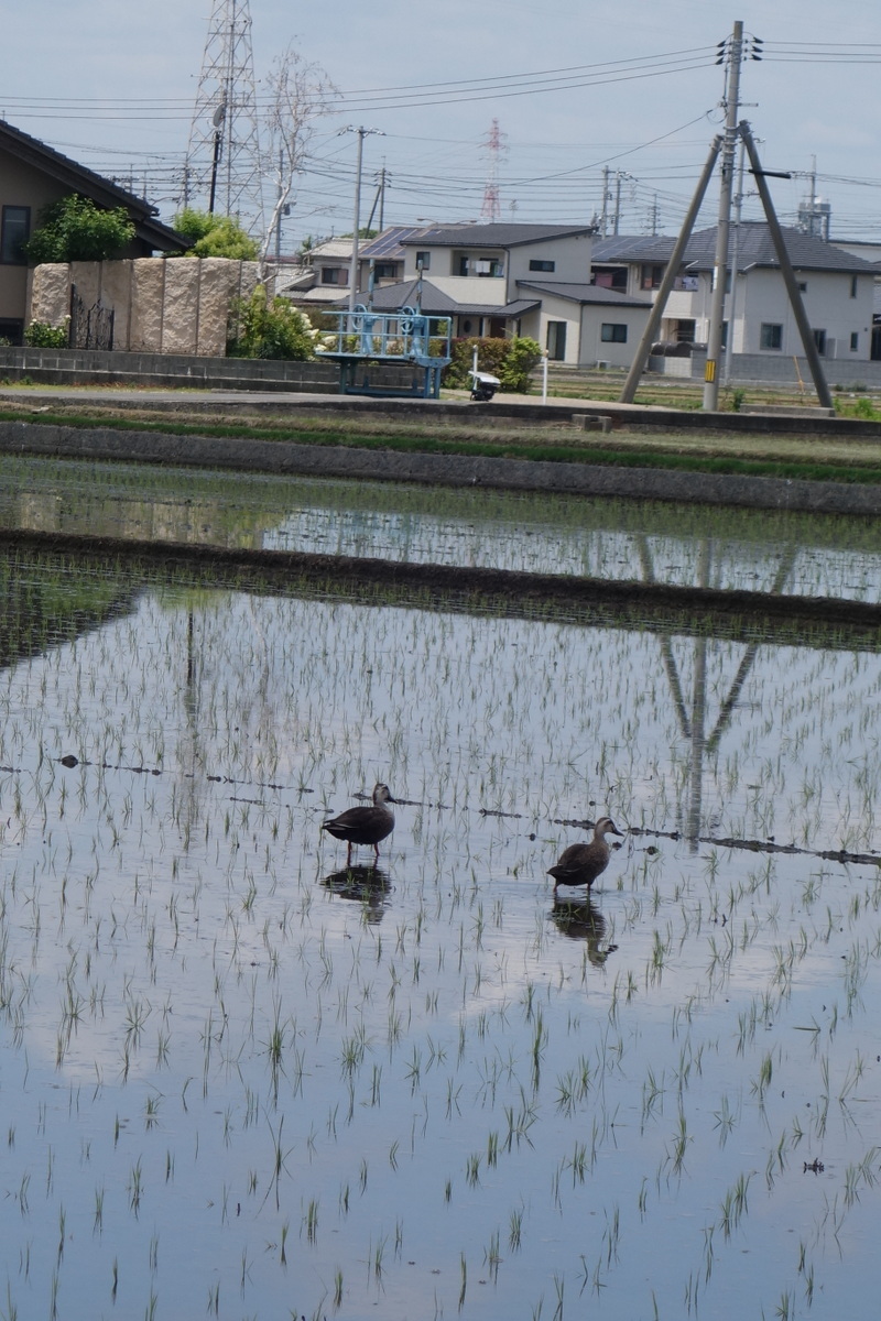 ＊＊大好きな風景♡♡＊＊_c0216472_07175051.jpg