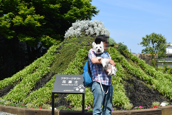 b0242873_17331883.png