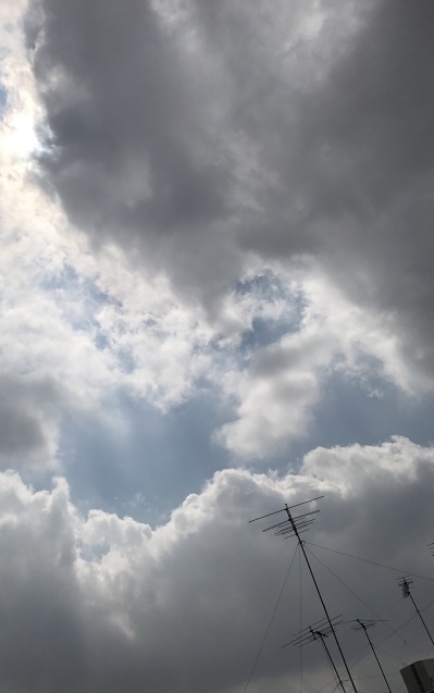 a0130778_11350517.jpg