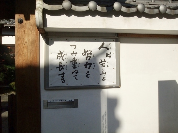 d0031078_10493463.jpeg