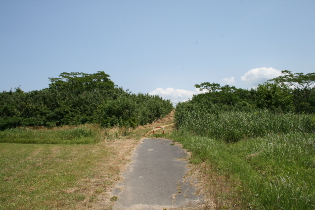 c0310987_15063920.jpg
