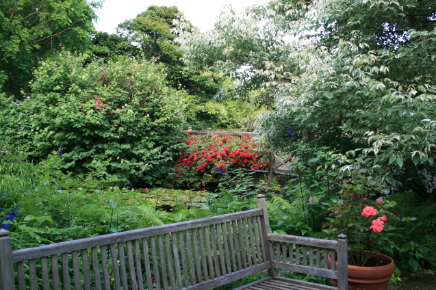 c0310987_15330664.jpg