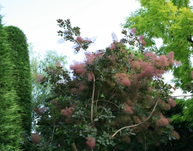 c0310987_15504457.jpg