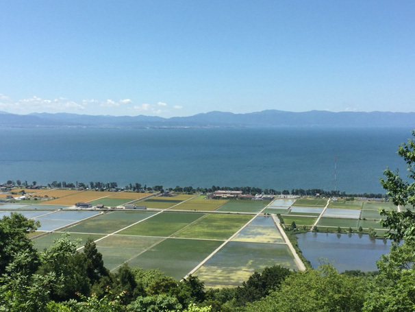 琵琶湖と田んぼ～荒神山（284.1ｍ）より_c0139591_05451639.jpg