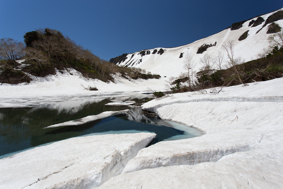期間限定!三笠新道から白雲岳、緑岳へ_d0198793_17422082.jpg