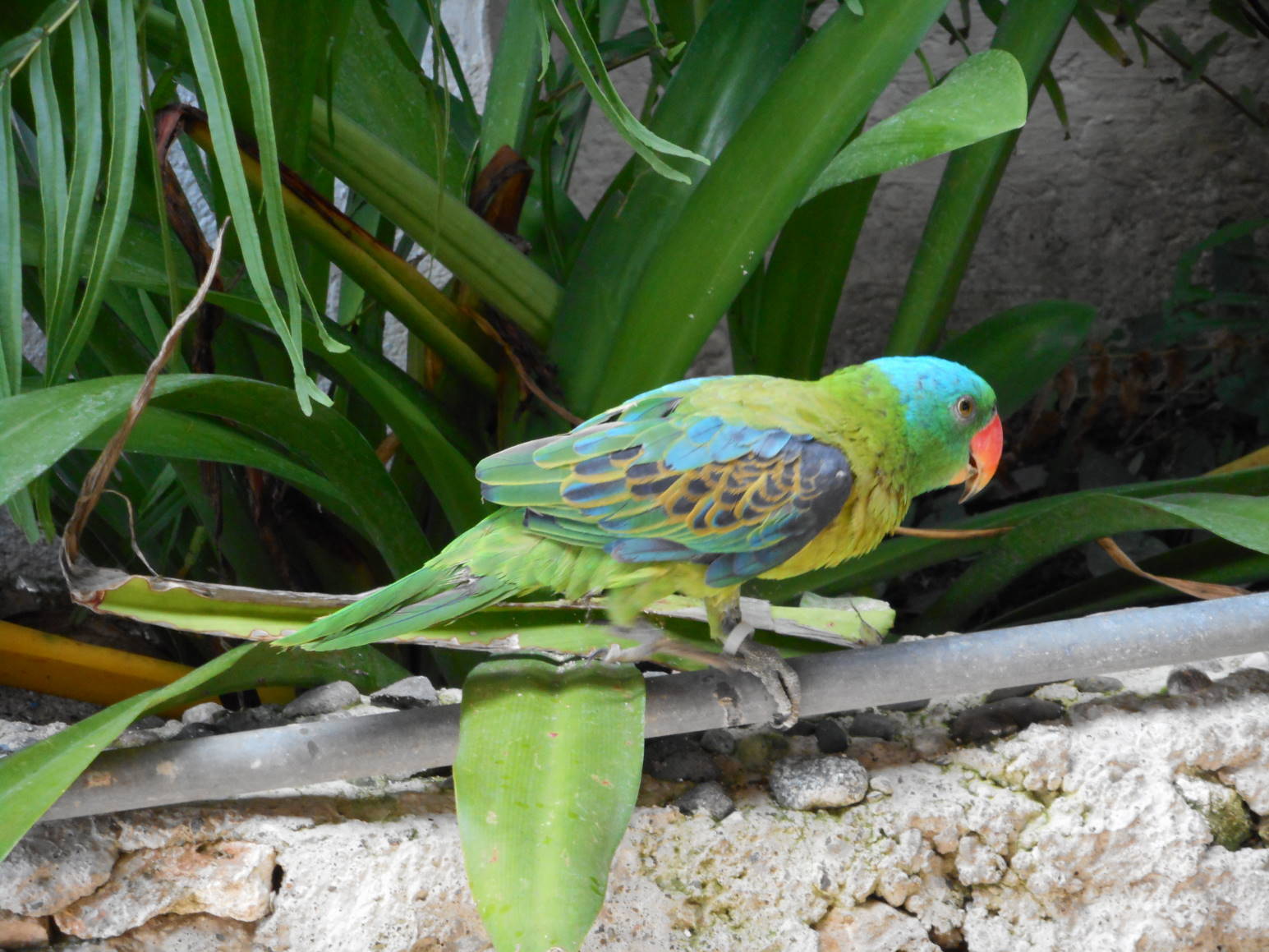 f0075595_20121438.jpg