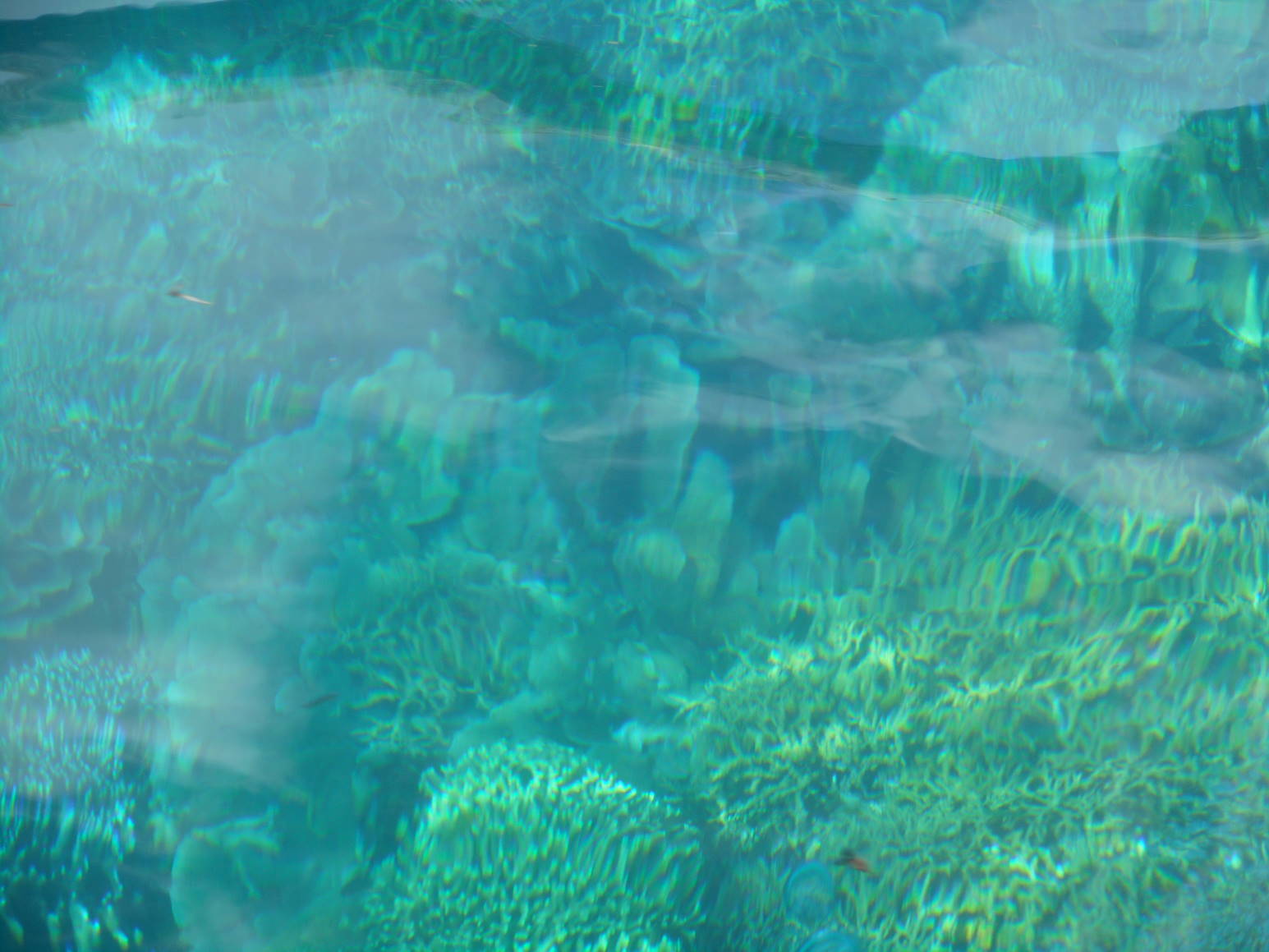f0075595_20434241.jpg