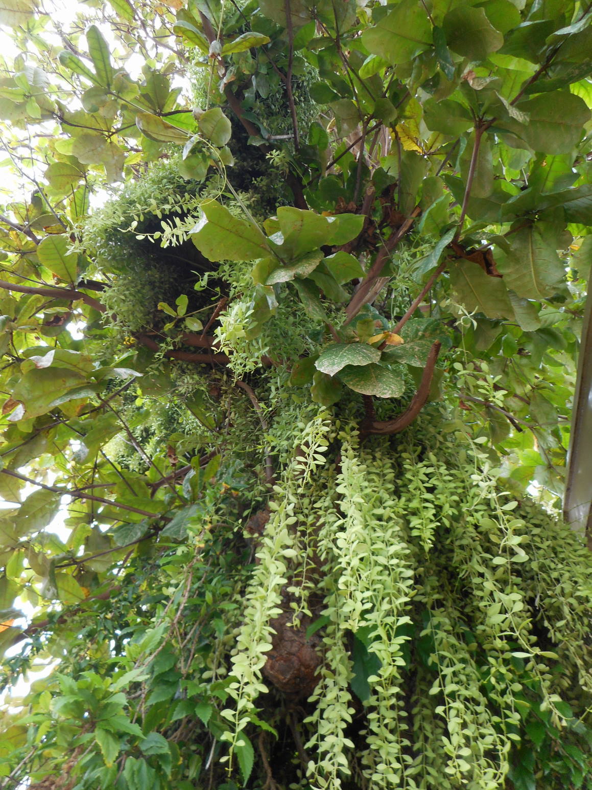 f0075595_23271027.jpg