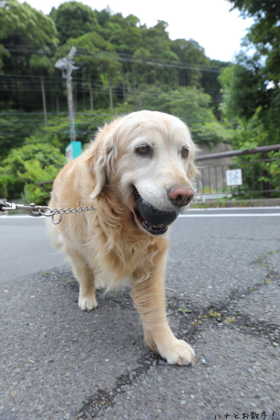 久しぶりに晴れ♪_b0275998_11282921.jpg