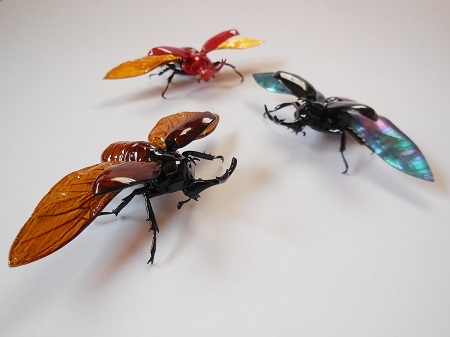乾漆カブトムシ 2017.06.15_c0213599_22532053.jpg