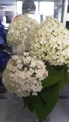c0201302_17584670.jpg