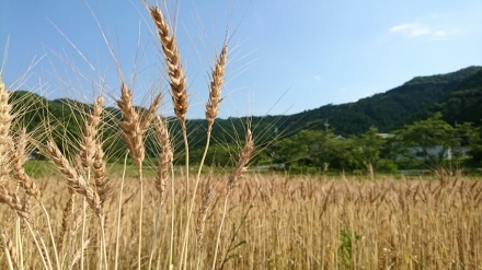 c0130705_06073311.jpg