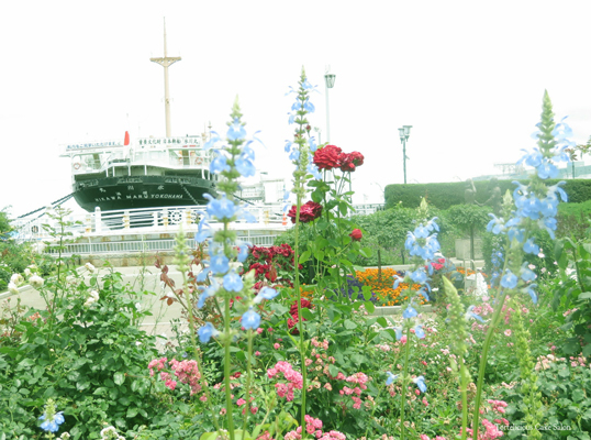 f0370305_21514432.jpg