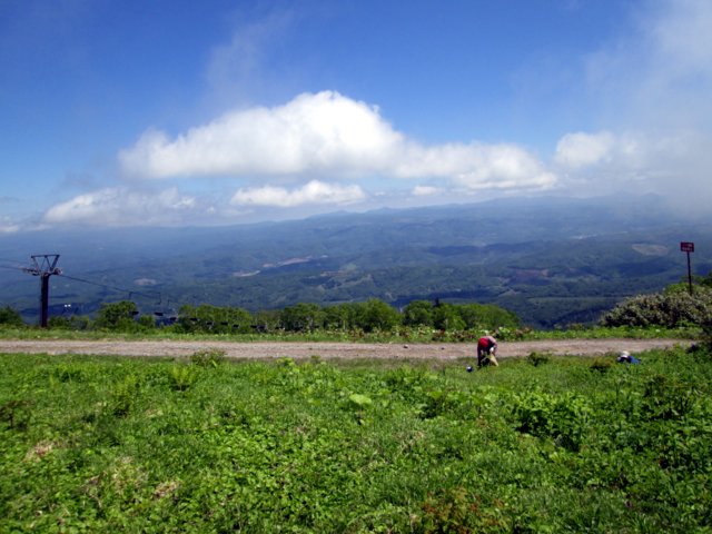 a0345007_11415769.jpg