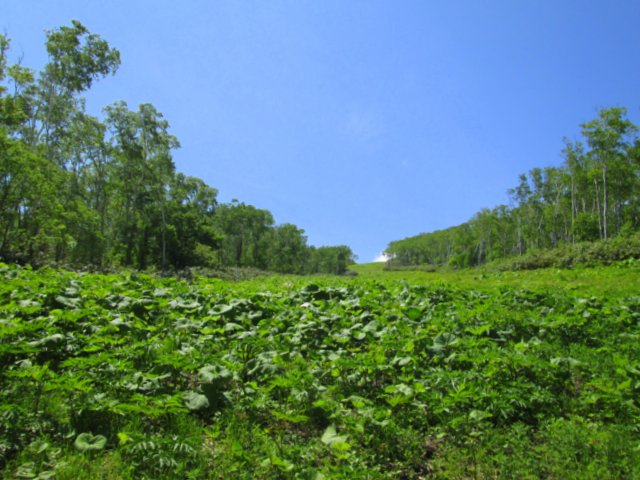 a0345007_11452851.jpg