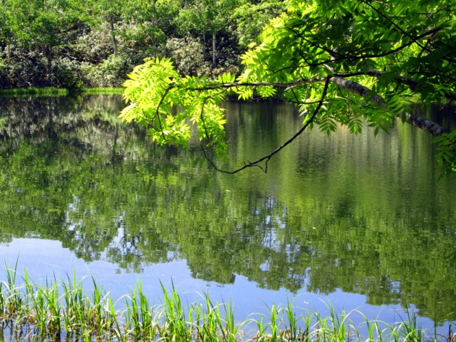 a0345007_11462761.jpg