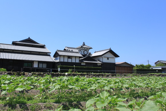 d0237309_21581281.jpg