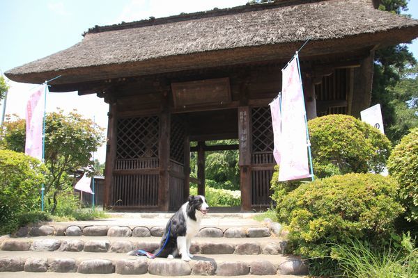 d0224111_17285469.jpg
