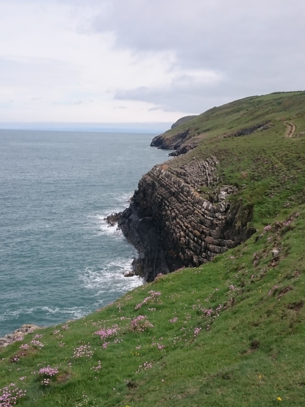 Cardigan Bay - カーディガン ベイ_a0347317_20432826.jpg