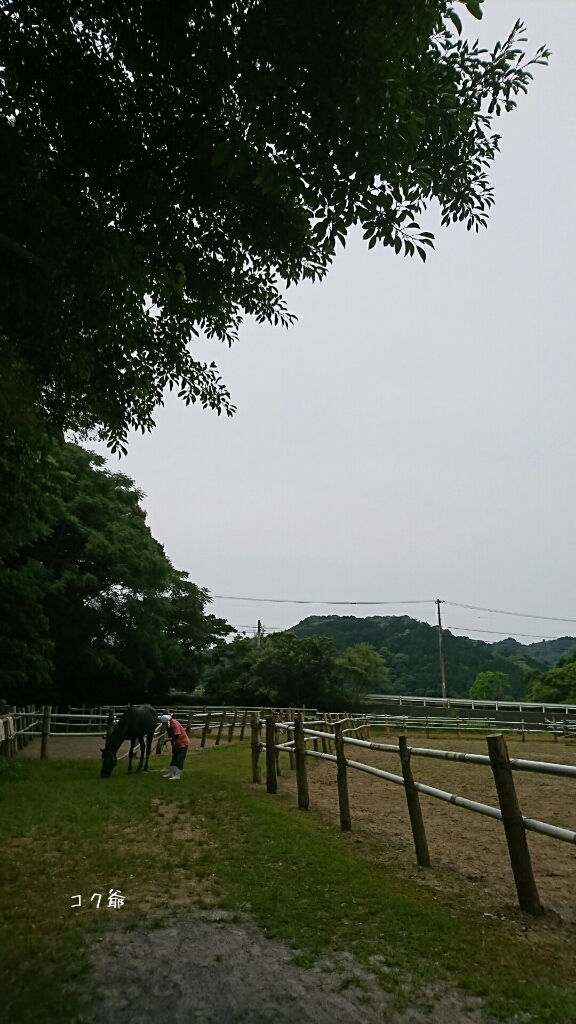 b0187620_20585238.jpg