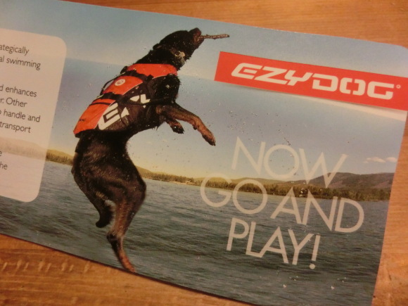 Ezydog Floating Jacket  ワンコ用ライフジャケット！_b0279527_02033405.jpg