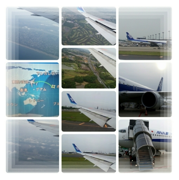 d0219834_17554799.jpg