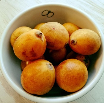 初夏の美味しい物_d0113636_10315276.jpg