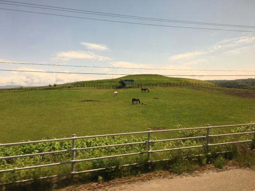 c0013438_22434074.jpg