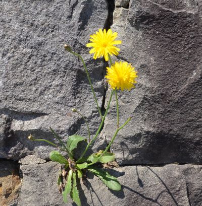 e0098241_928366.jpg