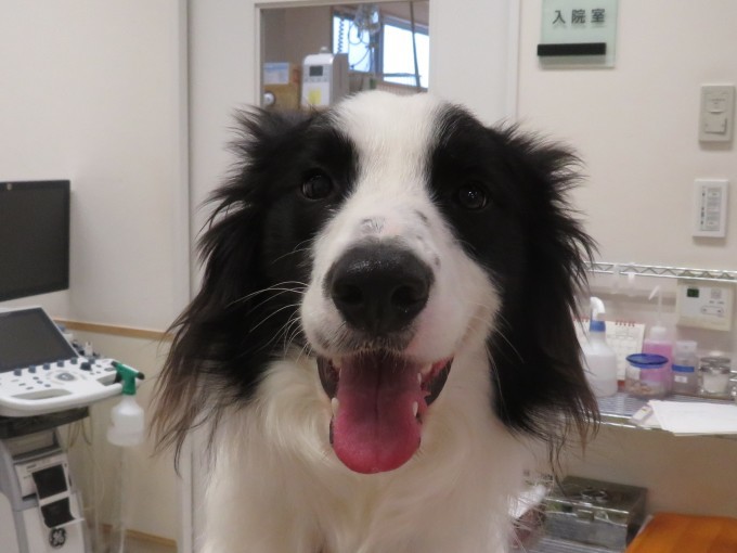 6 月 16 日の写真_c0174644_20394154.jpg
