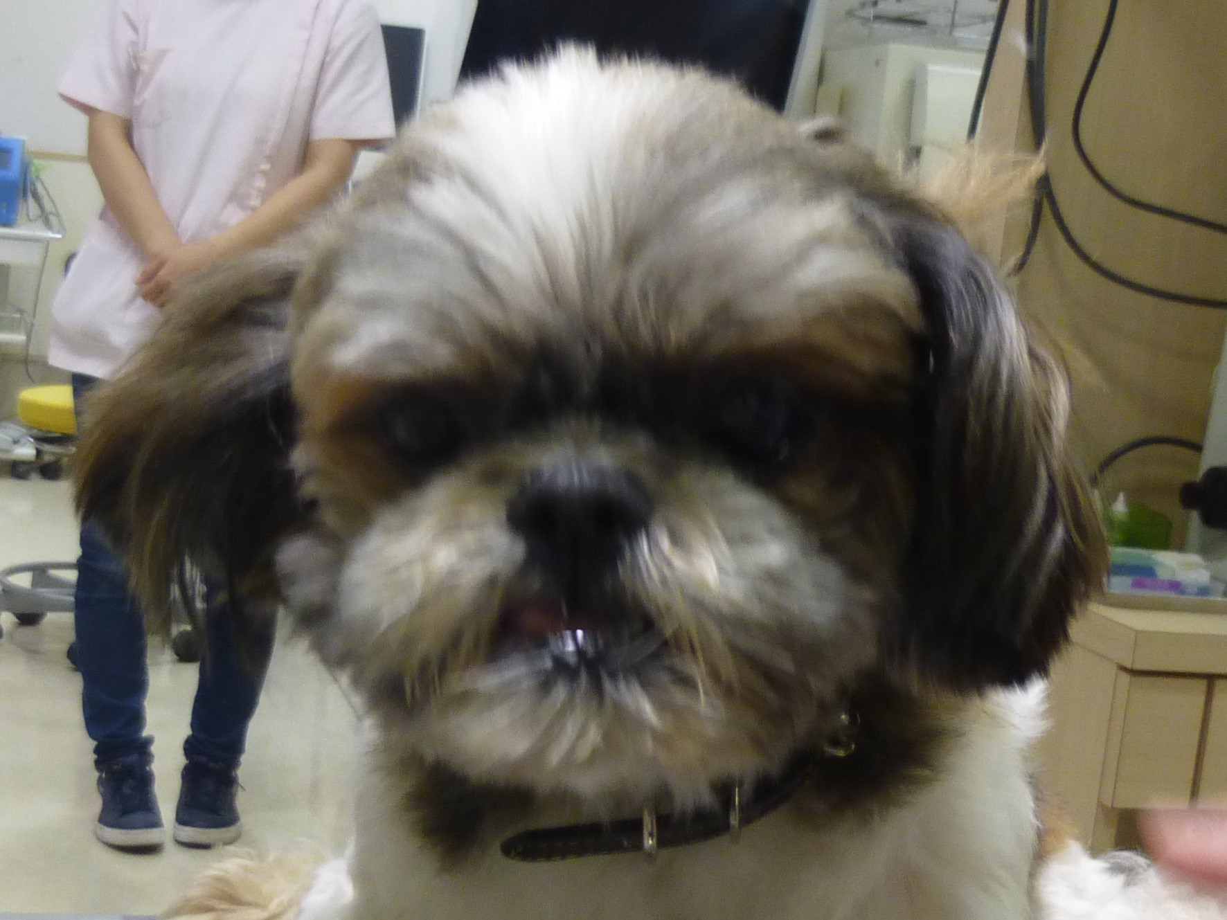 6 月 16 日の写真_c0174644_20394532.jpg