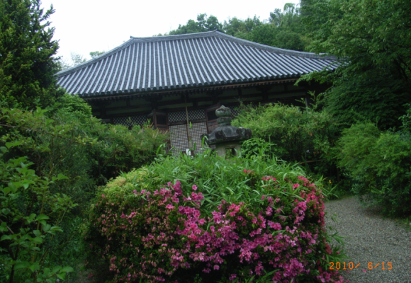 a0237545_20384263.png