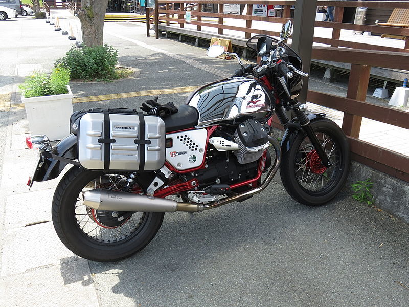 MG-V7850SHORT-BPAINTshort+