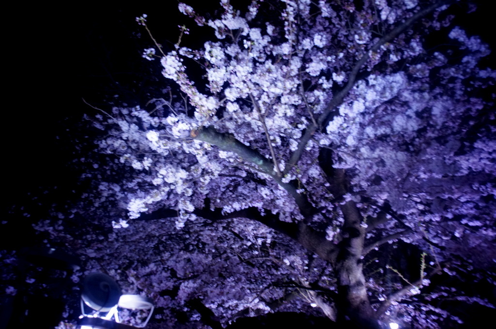 東京Vol.4 (2016年春)夕方はホテルラウンジで。_c0180686_03070499.jpg